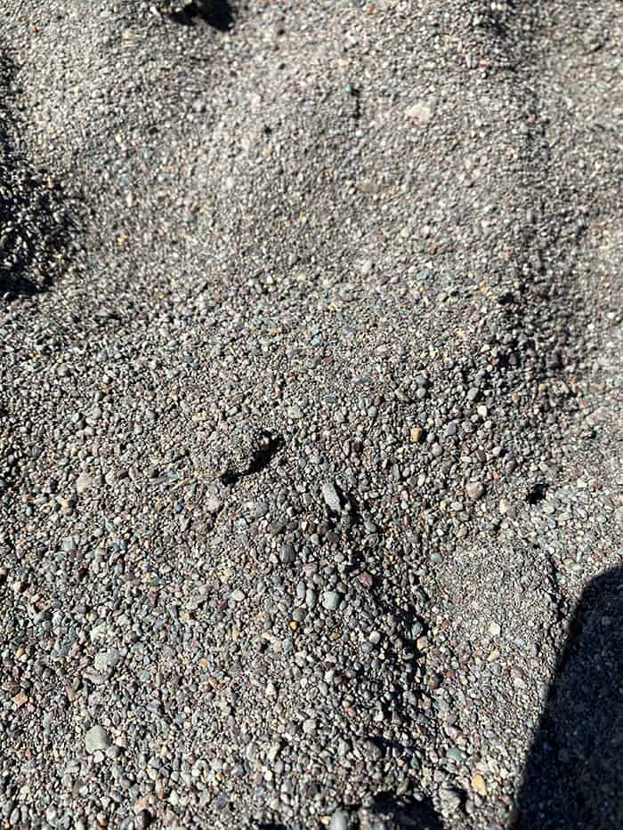 sand at black sands beach