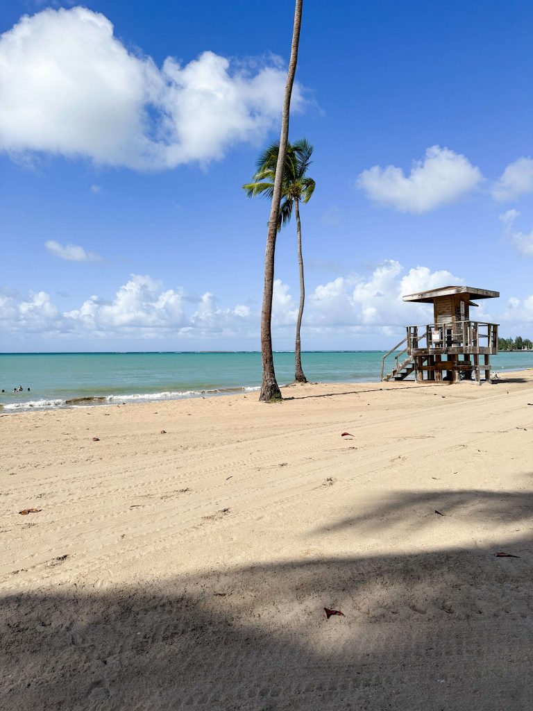 when in puerto rico, you should visit carolina public beach