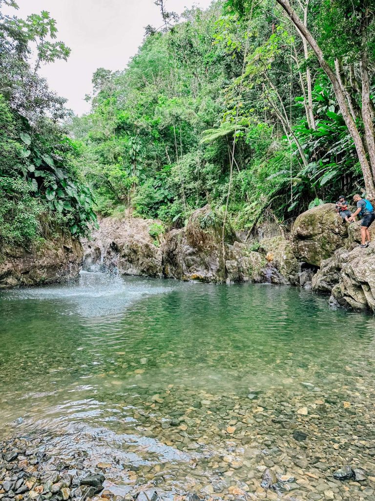 while you're in puerto rico, visit el yunque rainforest, on your own or on a tour