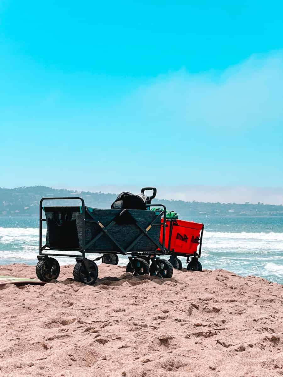 Read more about the article The 11 BEST Beach Wagons with Big Wheels for Sand in 2025