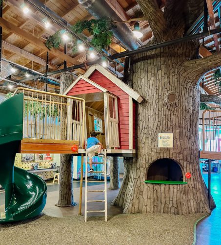 mymuseum in downtown monterey