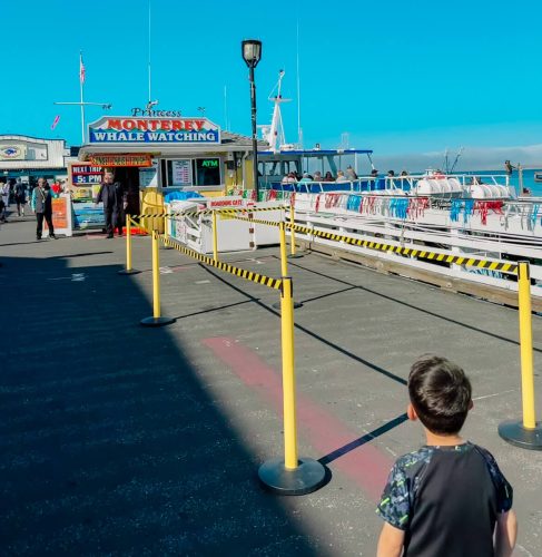 whale watching tours are a great thing to do in monterey with kids