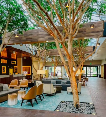 portola hotel in monterey