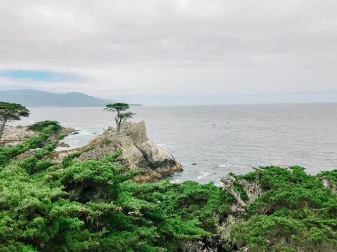 17 mile drive in monterey