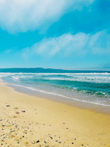 monterey state beach