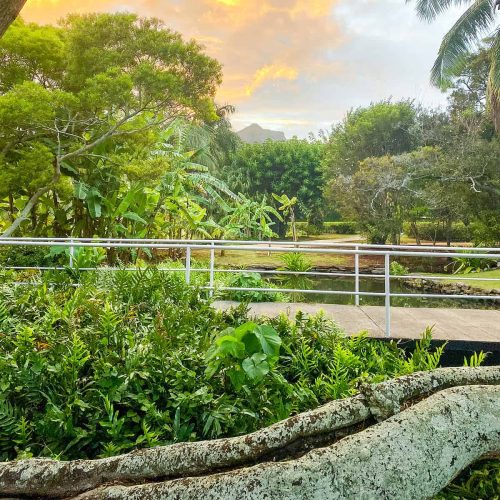 if you're on a budget, the best area to stay in kauai is the east side