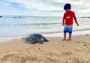 the best area to stay in kauai for kids and first timers is the south shore, like poipu