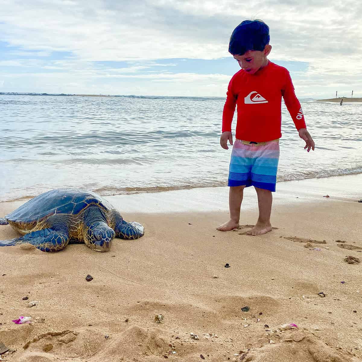 Read more about the article Ultimate Guide for Kauai with Kids: Itinerary for Best Things to Do + Where to Stay in 2025