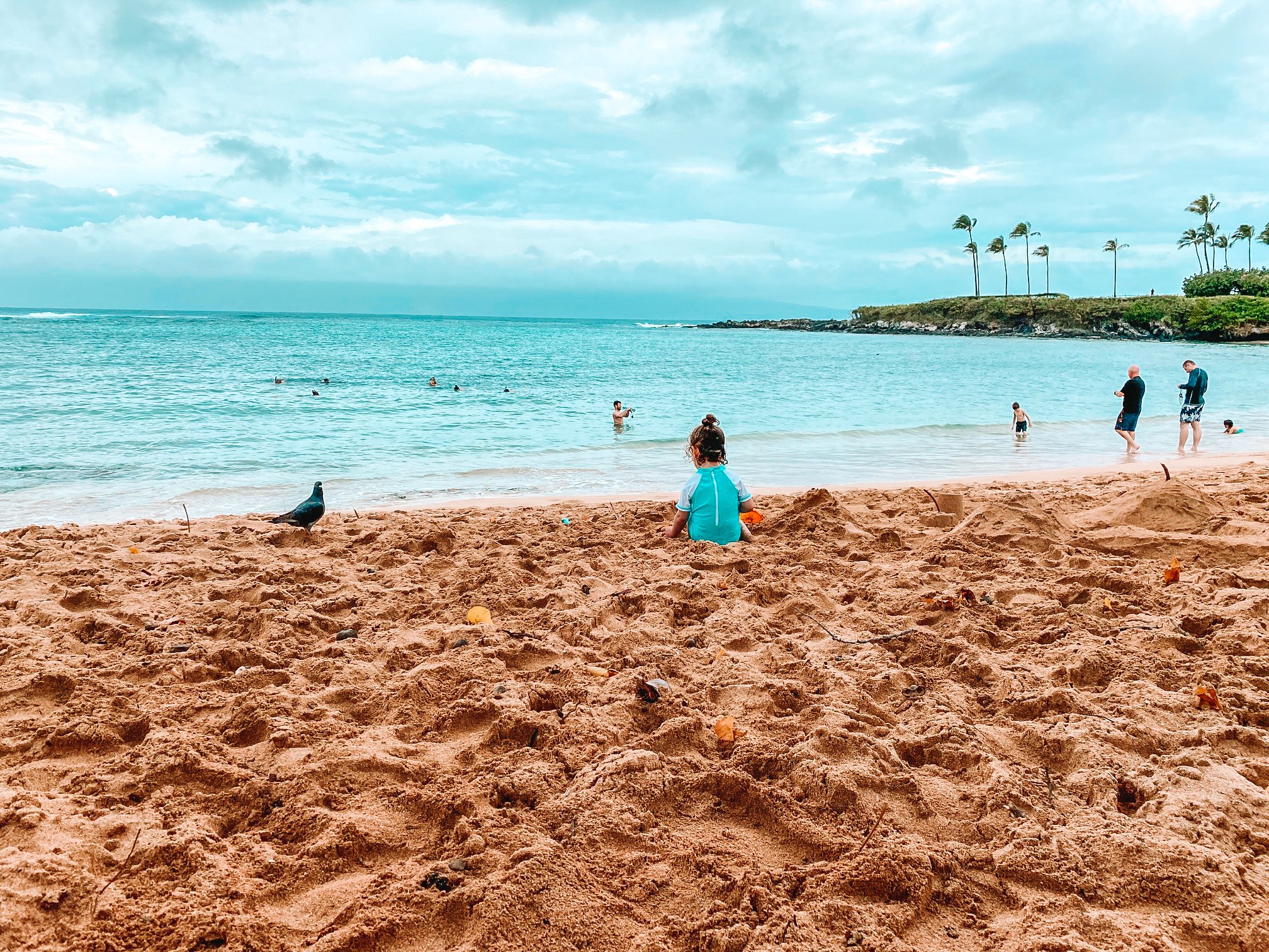 Read more about the article 23 Best Things to Do in Maui with Kids in 2025 – Updated After Fires