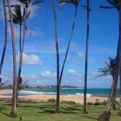 beach day nap cheat sheet