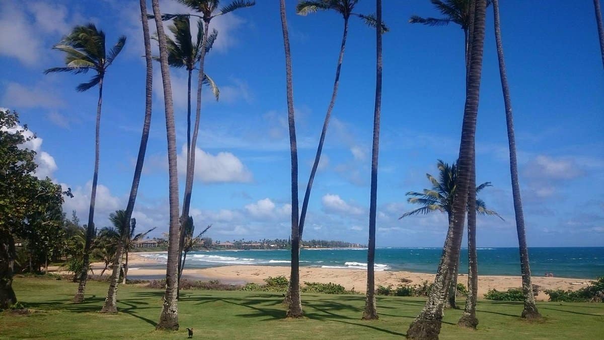 Read more about the article Beach Day Nap Cheat Sheet for Babies and Toddlers: Printable (2025)