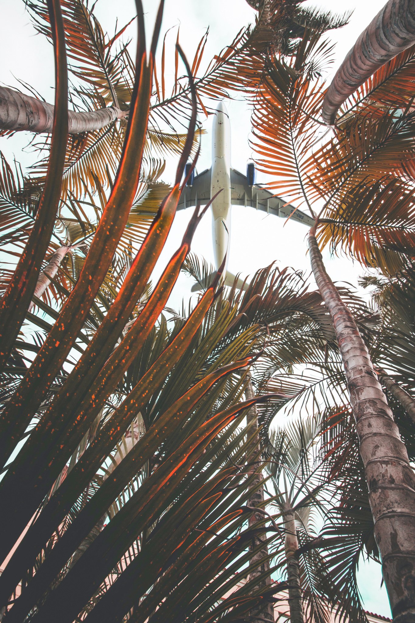 Read more about the article Flying With Newborns:17 Essential Tips For a Great Flight