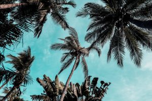 beach day snack planner for babies and toddlers