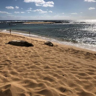 one of the best beaches on kauai is poipu beach park