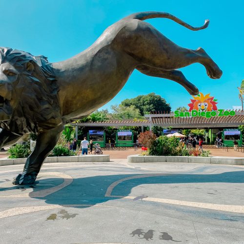 san diego zoo in balboa park