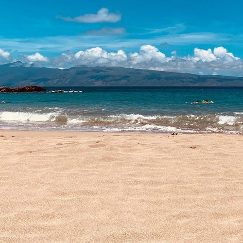 slaughterhouse beach